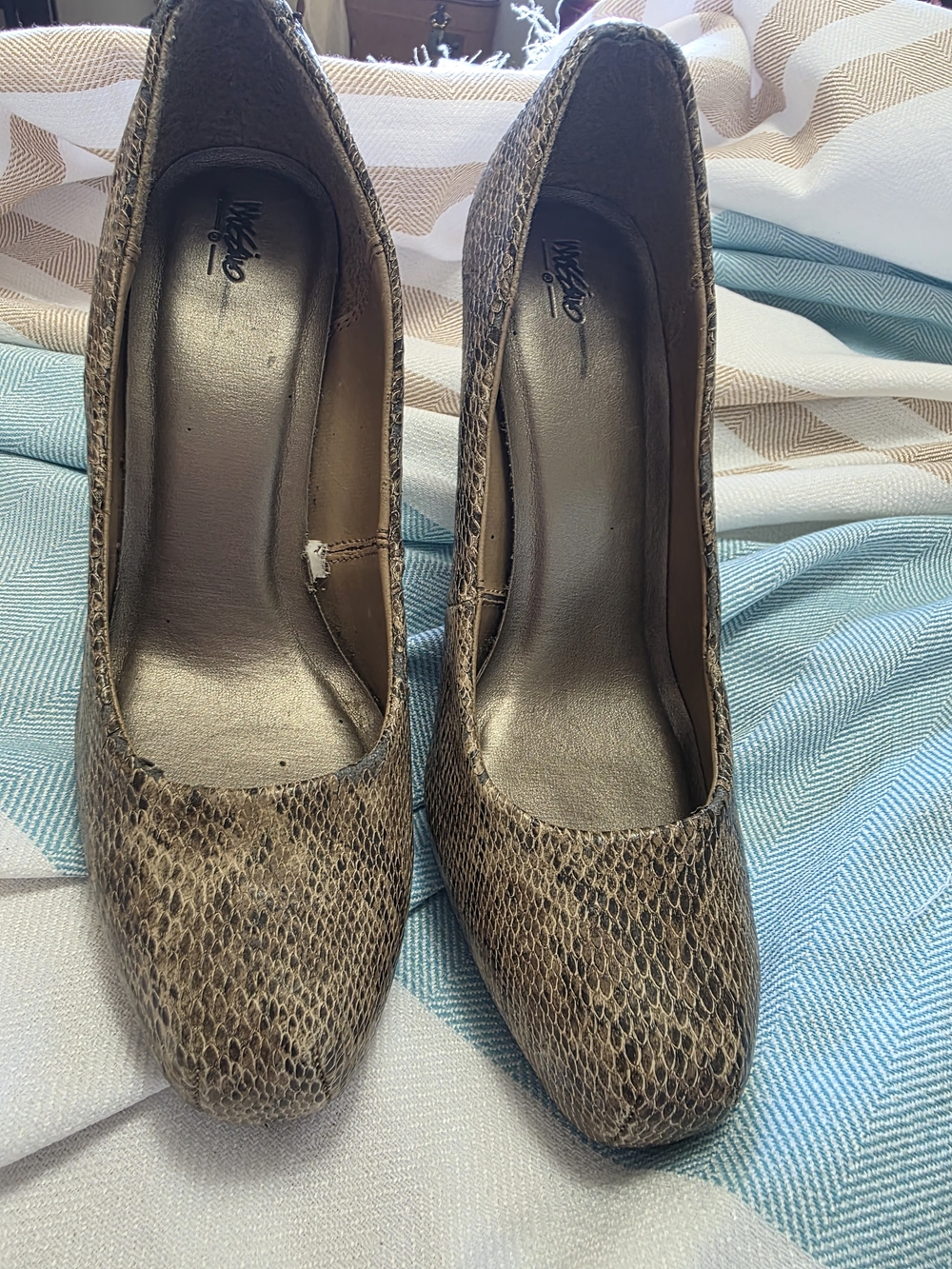 Snake-Print Pointed-Toe Heels in Taupe